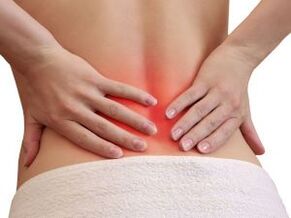 Causes of back pain in the lower back of the back